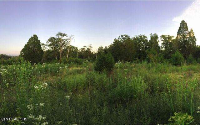 10528 Thorngrove Pike, Strawberry Plains, TN 37871