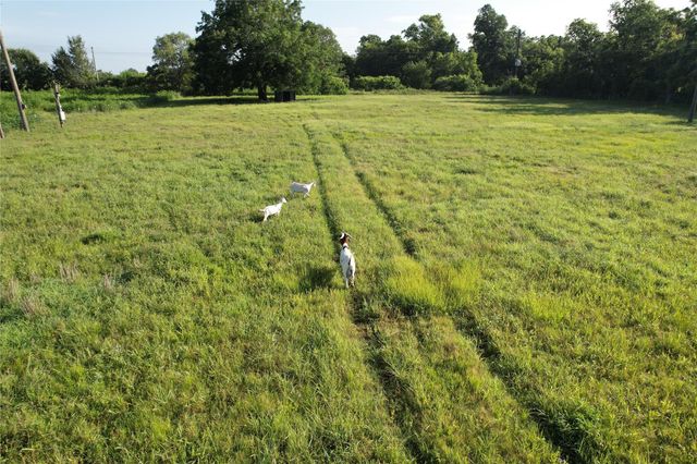 36600 Cheyenne Road, Simonton, TX 77485
