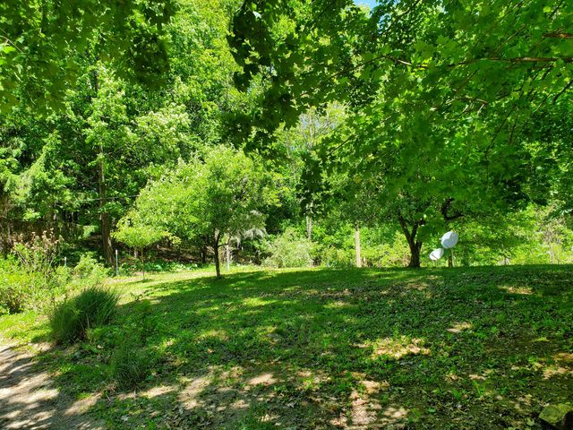 9173 220th Avenue, Stanwood, MI 49346