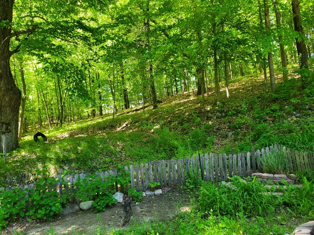 9173 220th Avenue, Stanwood, MI 49346
