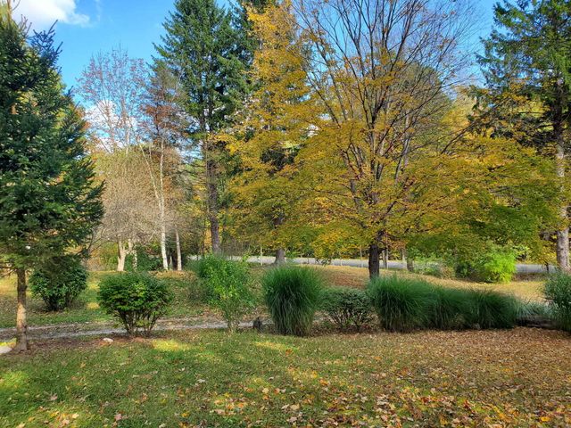 9173 220th Avenue, Stanwood, MI 49346