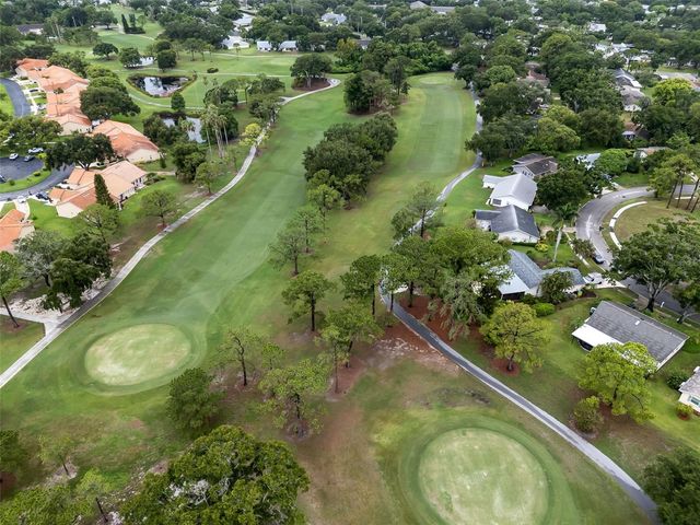 2958 DUNDEE DRIVE, Palm Harbor, FL 34684