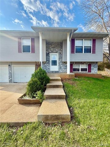 3 Bradley Court, Desloge, MO 63601