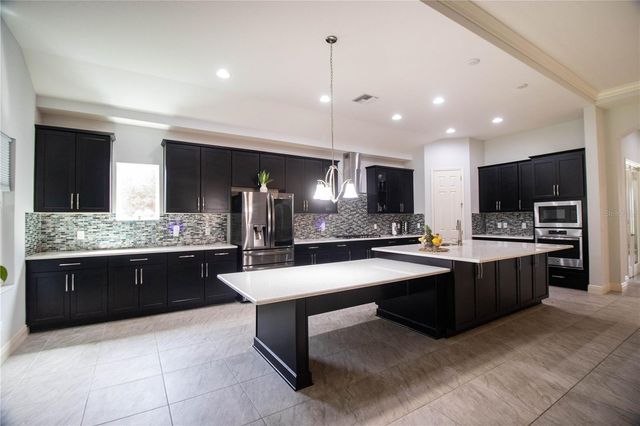 16485 COURTYARD LOOP, Land O Lakes, FL 34638