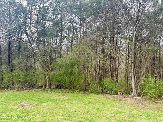 166 Cherry Ln, Loretto, KY 40037