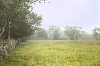 0 County Road 475, Damon, TX 77430