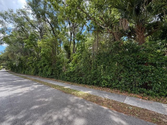 TBD KING AVENUE, Zellwood, FL 32798