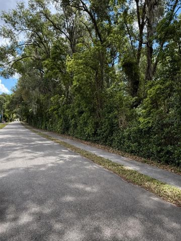 TBD KING AVENUE, Zellwood, FL 32798