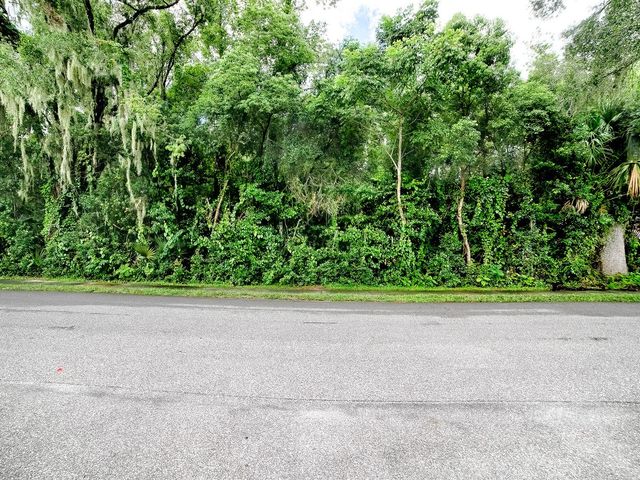 TBD KING AVENUE, Zellwood, FL 32798