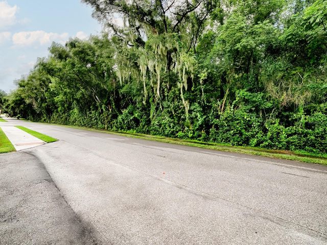 TBD KING AVENUE, Zellwood, FL 32798