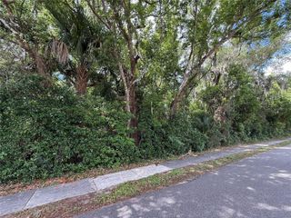 TBD KING AVENUE, Zellwood, FL 32798