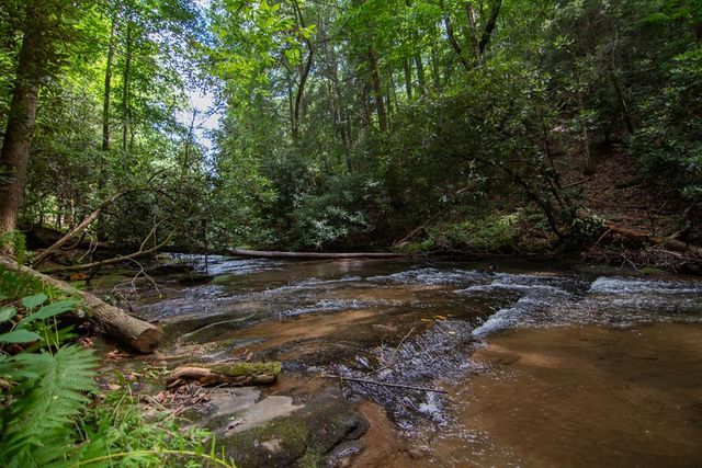 1990 Big Creek, Blue Ridge, GA 30522