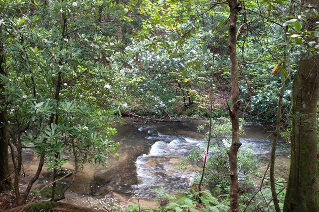 1990 Big Creek, Blue Ridge, GA 30522