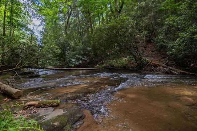 1990 Big Creek, Blue Ridge, GA 30522