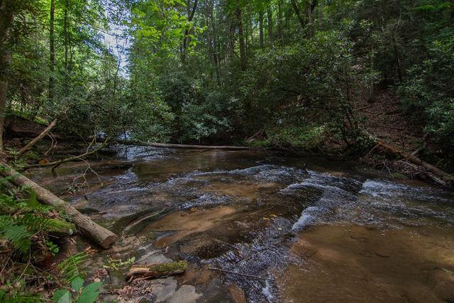 1990 Big Creek, Blue Ridge, GA 30522