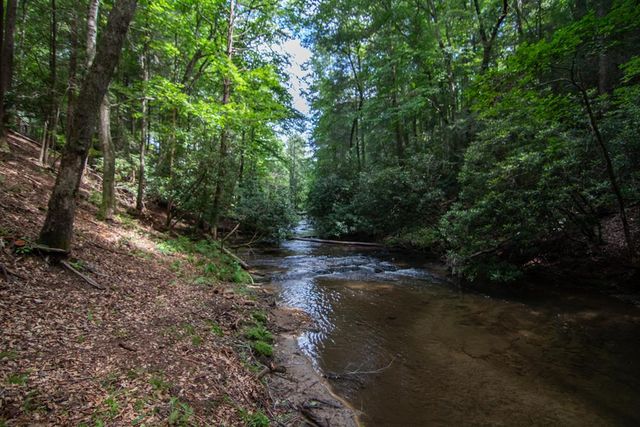 1990 Big Creek, Blue Ridge, GA 30522