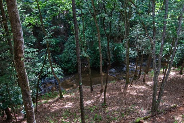 1990 Big Creek, Blue Ridge, GA 30522