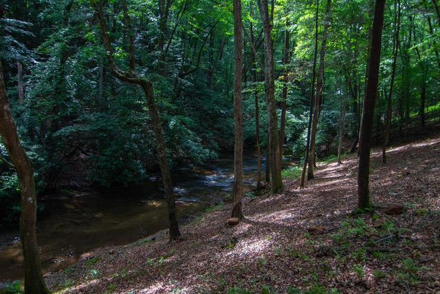 1990 Big Creek, Blue Ridge, GA 30522