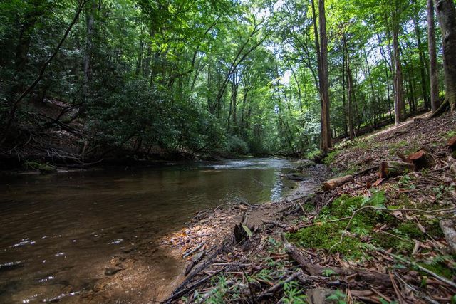 1990 Big Creek, Blue Ridge, GA 30522