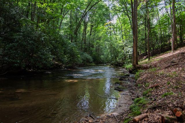 1990 Big Creek, Blue Ridge, GA 30522