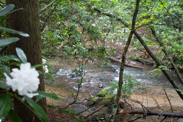1990 Big Creek, Blue Ridge, GA 30522