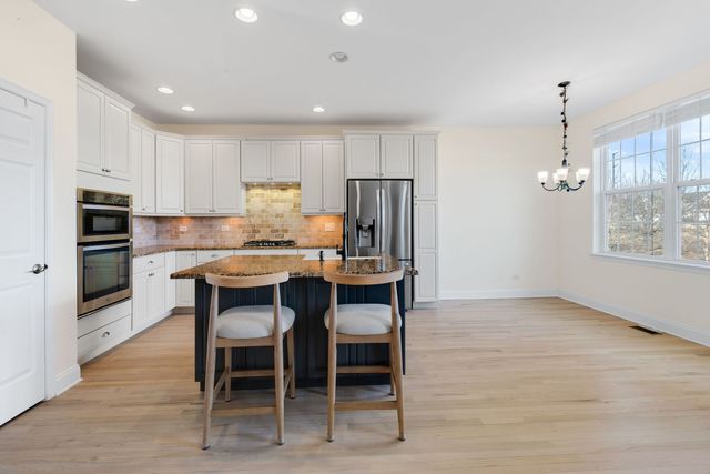 1159 Falcon Ridge Drive, Elgin, IL 60124