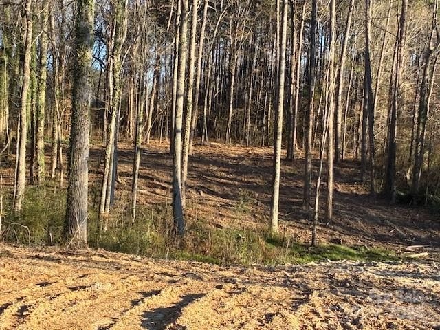 231 Hoke Drive, Dallas, NC 28034