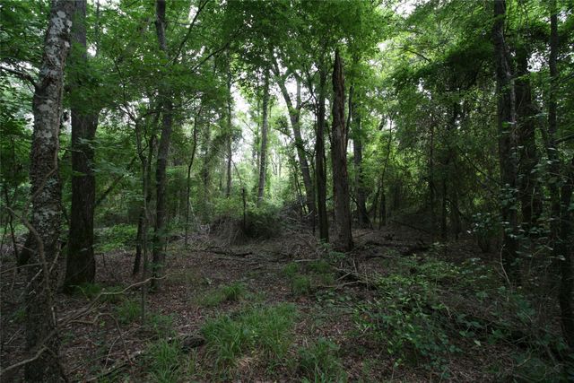 Tract 3 TBD VZCR 1507, Grand Saline, TX 75140