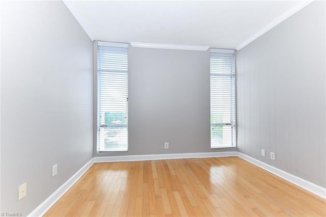 1101 N Elm Street 907, Greensboro, NC 27401