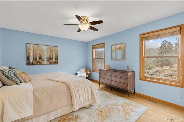 745 N Pine Drive, Bailey, CO 80421