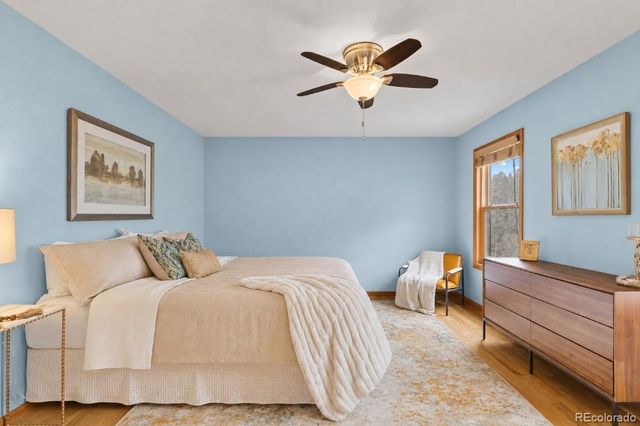 745 N Pine Drive, Bailey, CO 80421