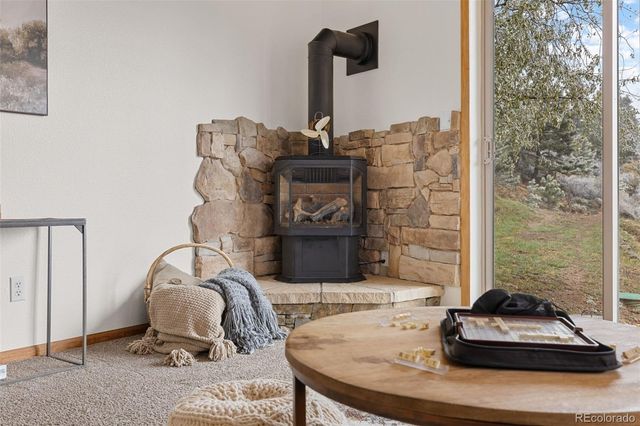 745 N Pine Drive, Bailey, CO 80421