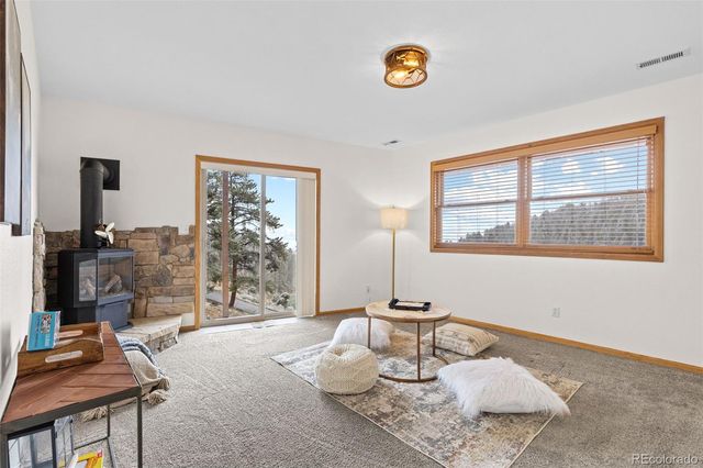 745 N Pine Drive, Bailey, CO 80421