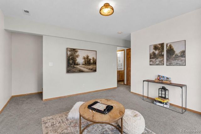 745 N Pine Drive, Bailey, CO 80421