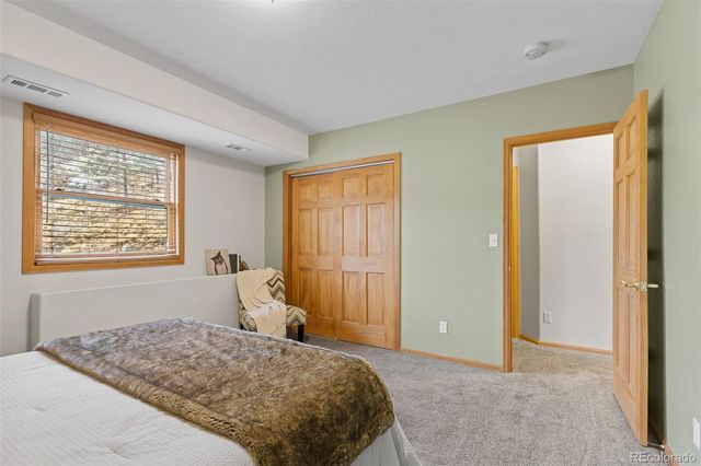 745 N Pine Drive, Bailey, CO 80421
