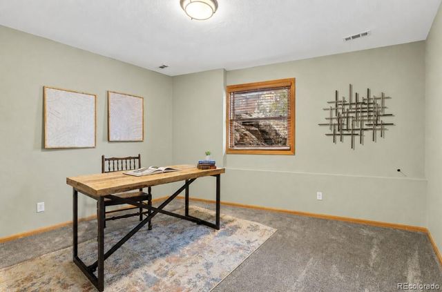 745 N Pine Drive, Bailey, CO 80421