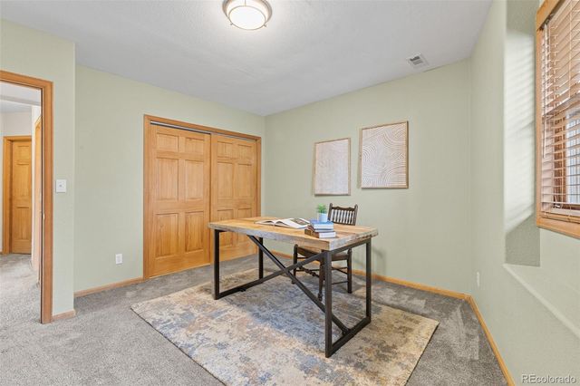 745 N Pine Drive, Bailey, CO 80421