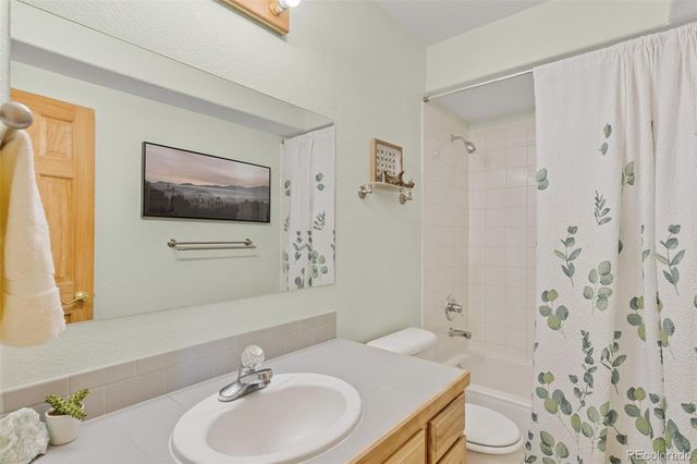 745 N Pine Drive, Bailey, CO 80421
