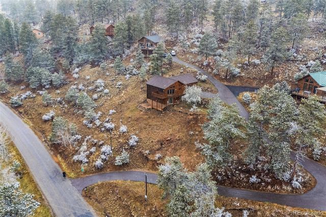 745 N Pine Drive, Bailey, CO 80421