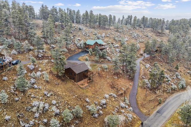 745 N Pine Drive, Bailey, CO 80421