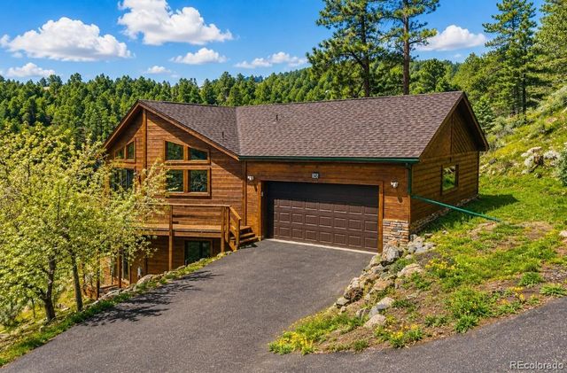 745 N Pine Drive, Bailey, CO 80421
