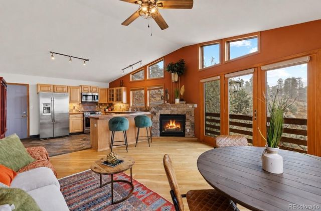 745 N Pine Drive, Bailey, CO 80421