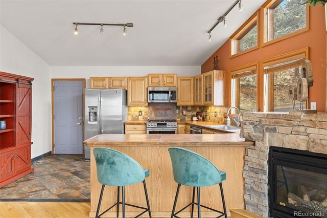 745 N Pine Drive, Bailey, CO 80421