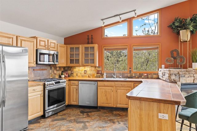 745 N Pine Drive, Bailey, CO 80421