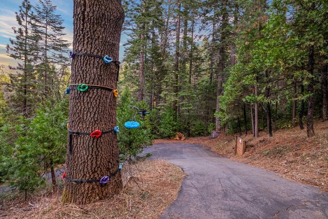 2729 Mokelumne Rd, Arnold, CA 95223