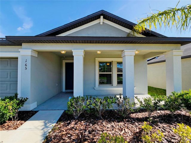165 RAIN BERRY AVENUE, Ruskin, FL 33570