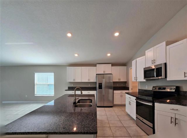 165 RAIN BERRY AVENUE, Ruskin, FL 33570