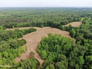 656 Sunset Drive, Coldwater, MS 38618