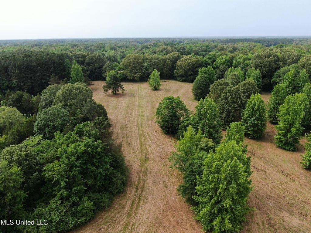 656 Sunset Drive, Coldwater, MS 38618 — photo 2