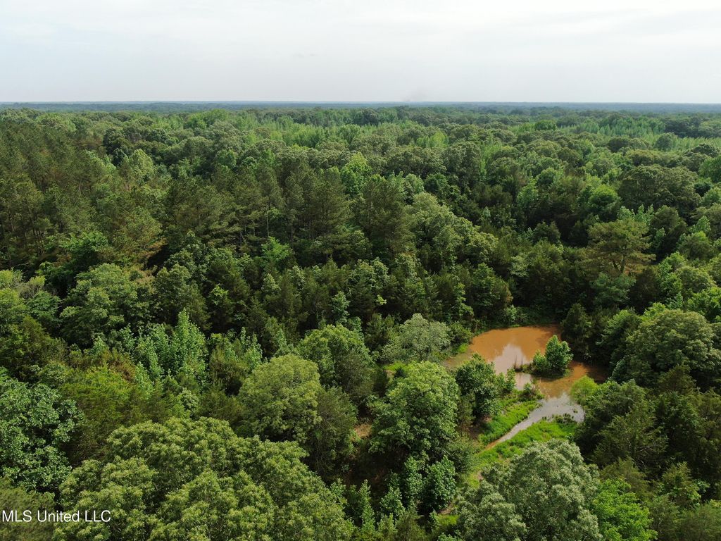 656 Sunset Drive, Coldwater, MS 38618 — photo 3